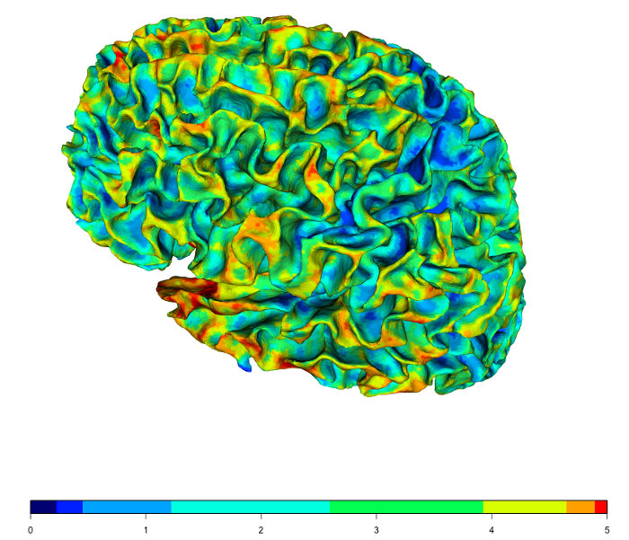 Figure 5: Colorbar integrated into the rgl plot.