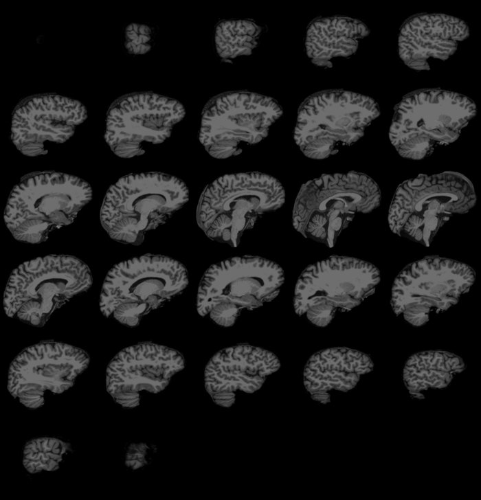 Figure 1: Lightbox view.